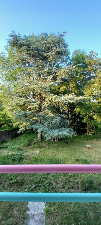 La Croisee Des Chemins Arques-la-Bataille Exterior foto